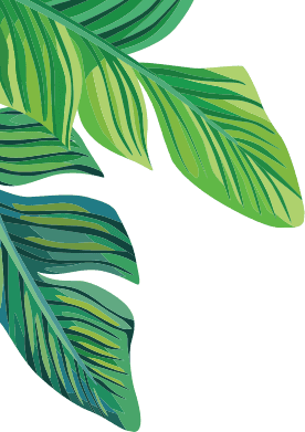 Leaf Corner Top Left