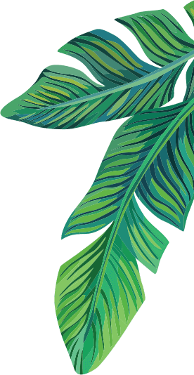 Leaf Corner Top Right